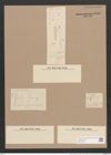 Gomphonema abbreviatum Ag. (de-Toni-Nr.: Genus 37, Species 1751) Zeichnungen Sammlung Grunow Nr. 3485 (NHMW-BOT-W0371040)